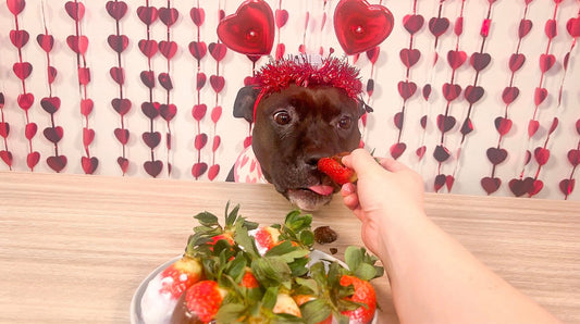 How To Make "Chocolate" Covered Strawberries For Dogs