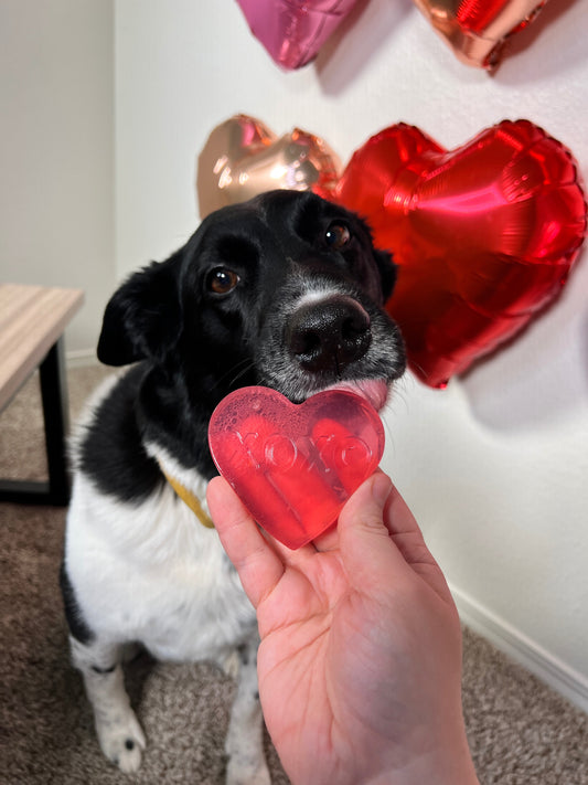 How To Make Valentine's Day Bone Broth Heart Gummies for Dogs
