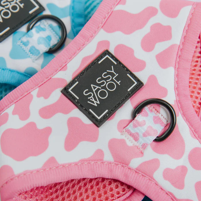 Strawberry Milk - Modern Adjustable Dog Harness