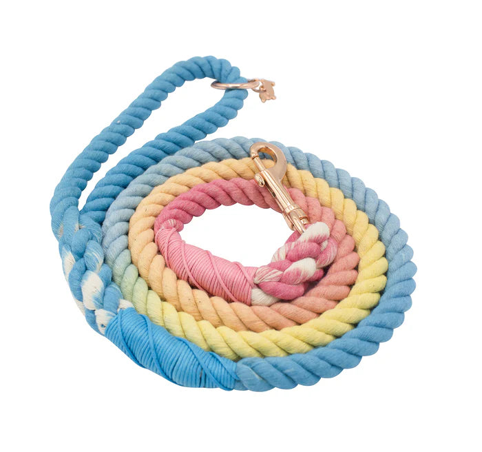 Bright - Modern Dog Rope Leash