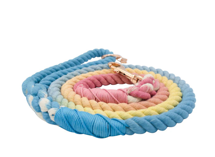Bright - Modern Dog Rope Leash