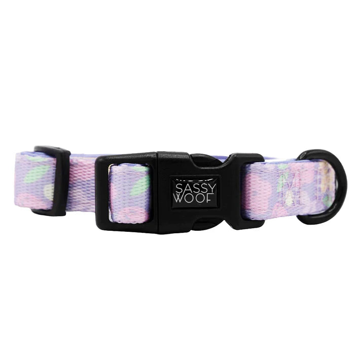 Fleur de Sass - Modern Dog Collar