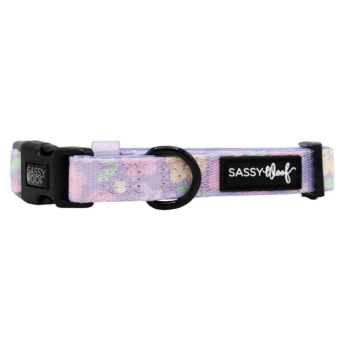 Fleur de Sass - Modern Dog Collar