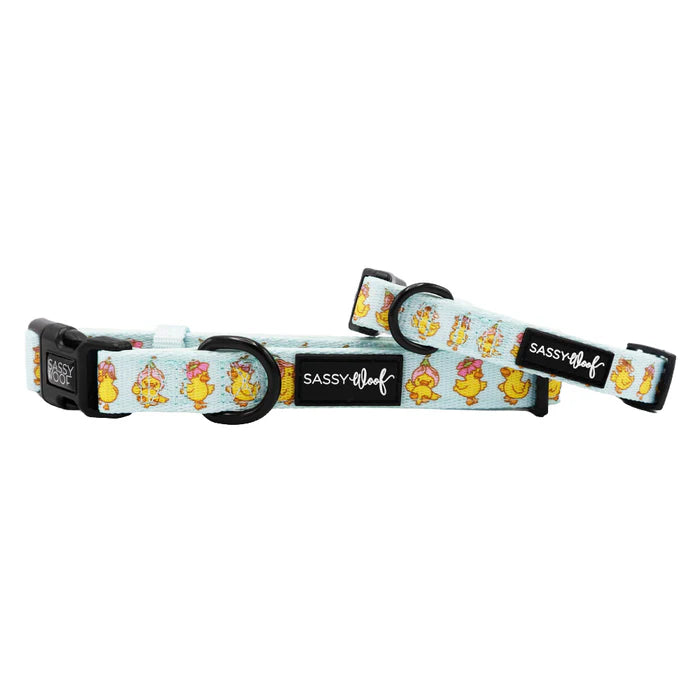 Good Duck, Babe! - Modern Dog Collar