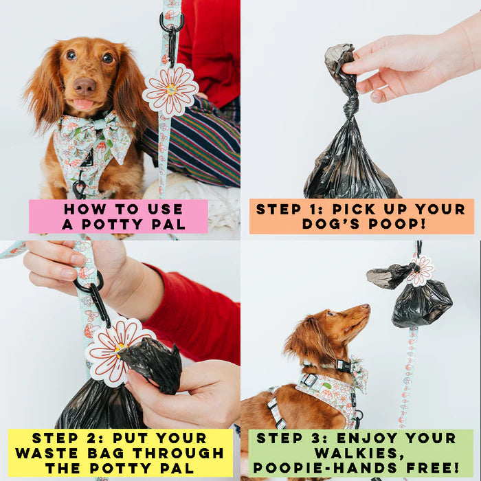 Dachshund - Modern Dog Potty Pal