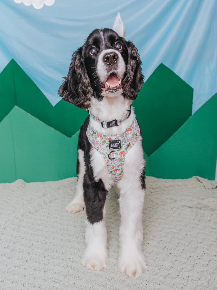 Shrooms & Blooms - Modern Adjustable Dog Harness
