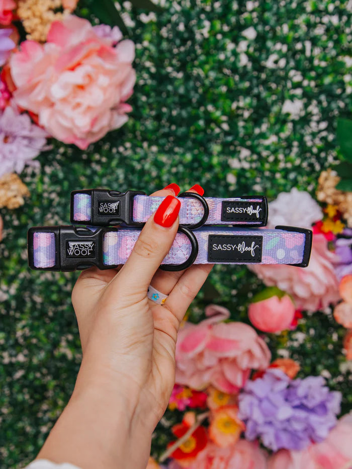 Fleur de Sass - Modern Dog Collar
