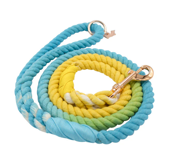 Bubble - Modern Dog Rope Leash