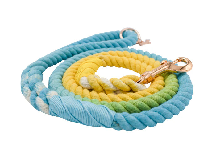 Bubble - Modern Dog Rope Leash