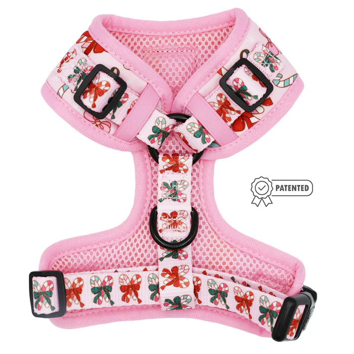 Candy Cane Coquette - Modern Dog Christmas Harness
