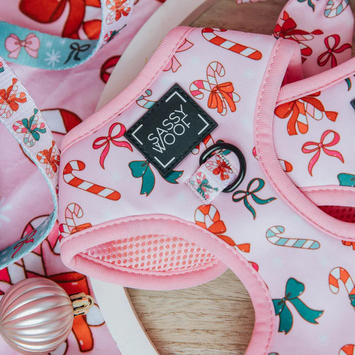 Candy Cane Coquette - Modern Dog Christmas Harness