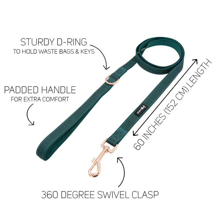 Forest - Modern Dog Leash
