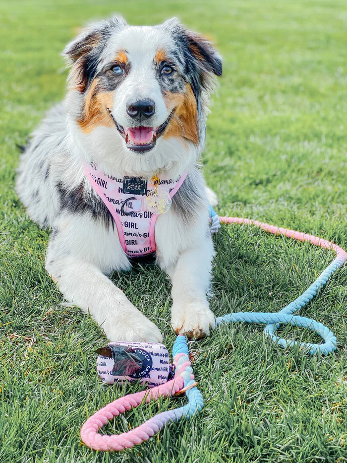 Romance - Modern Dog Rope Leash