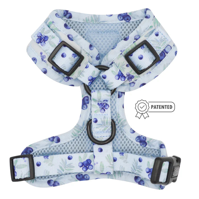 Berry Sassy - Modern Dog Adjustable Harness