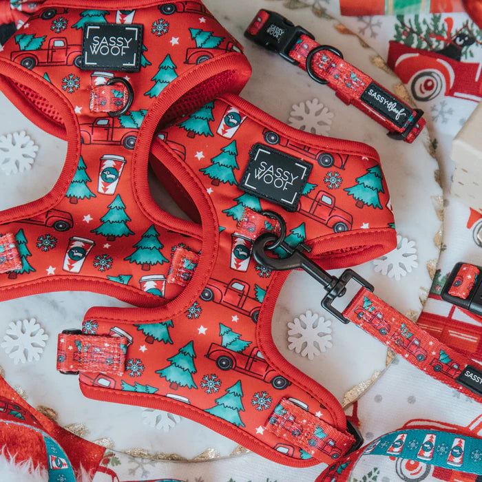 O Christmas Treat - Modern Dog Adjustable Harness