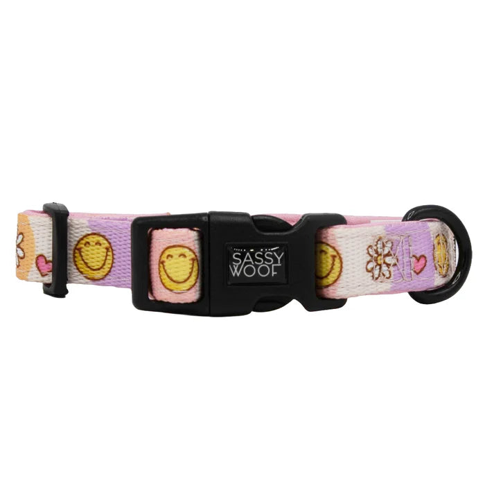 Daisy Me Rolling - Modern Dog Collar