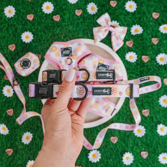 Daisy Me Rolling - Modern Dog Collar