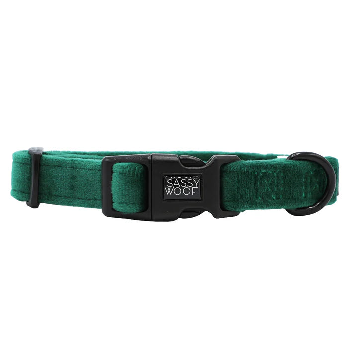 Nice - Modern Dog Collar