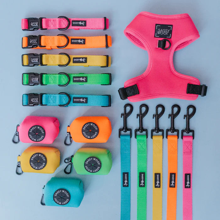 Neon Pink - Modern Dog Adjustable Harness