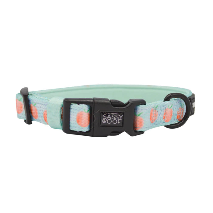Peach Please - Modern Dog Collar