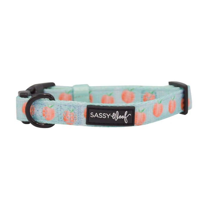 Peach Please - Modern Dog Collar