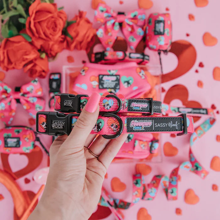 The Powerpuff Girls™ (Love) - Modern Dog Collar