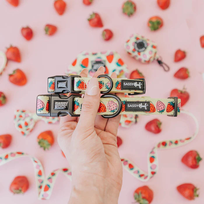 Strawberry Fields Furever - Modern Dog Collar