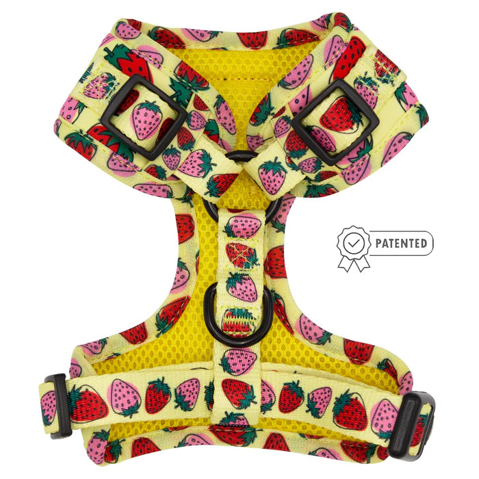 Strawberry Fields Furever - Modern Dog Adjustable Harness