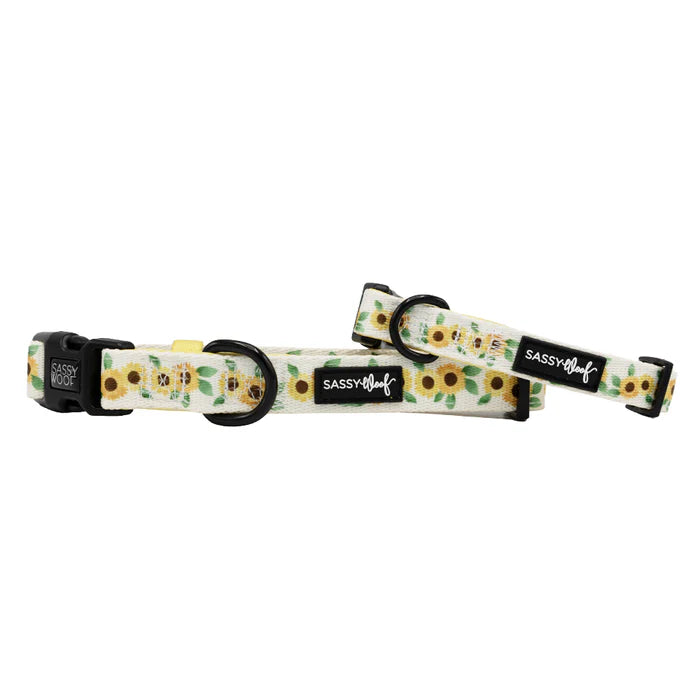 Sunflower Dreams - Modern Dog Collar