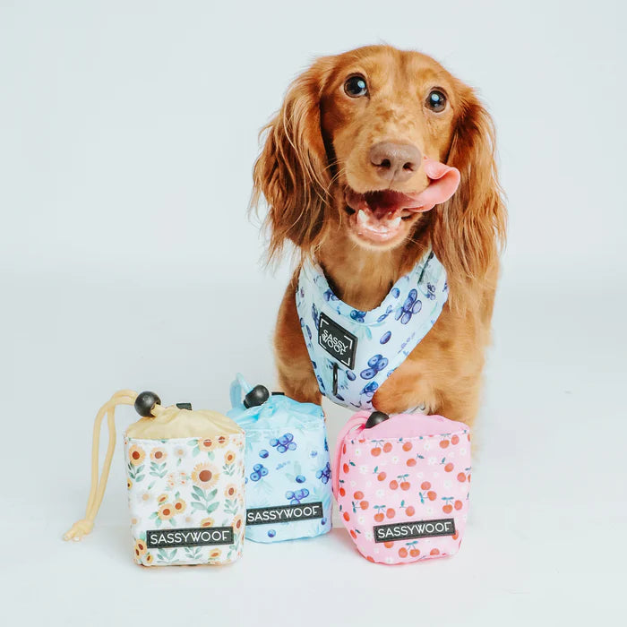 Sunflower Dreams - Modern Dog Treat Pouch