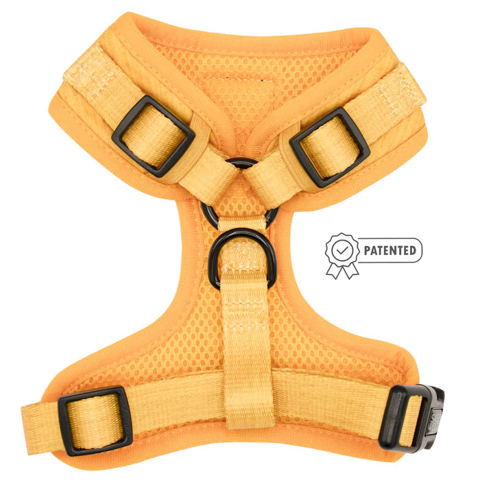 Sunflower Fields - Modern Dog Adjustable Harness