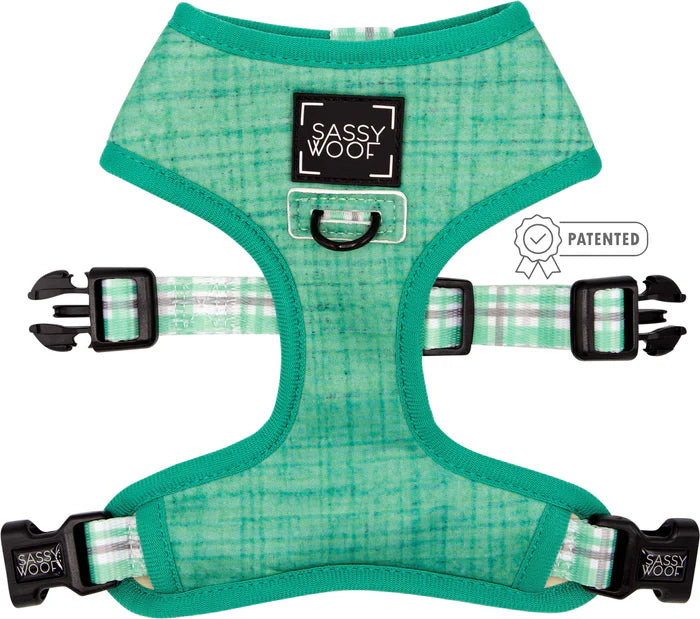 Wag Your Teal - Modern Dog Reversible Harness
