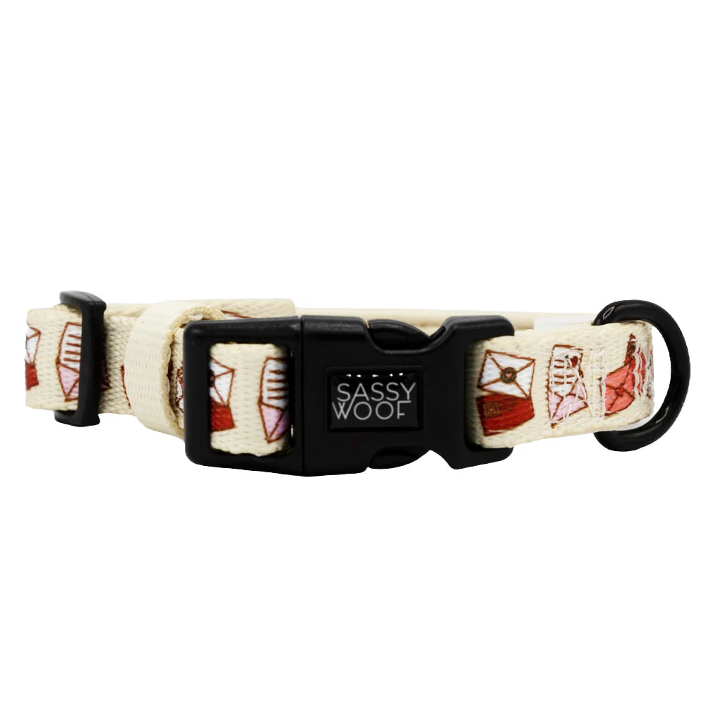 P.S. I Woof You - Modern Dog Collar