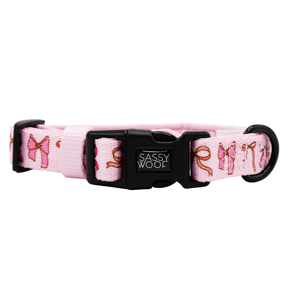 Sweet Treats - Modern Dog Collar