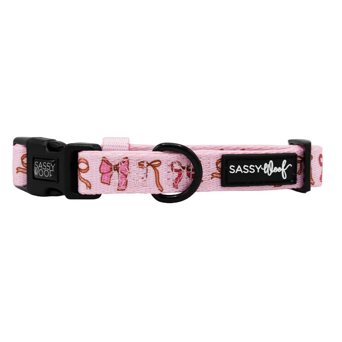 Sweet Treats - Modern Dog Collar