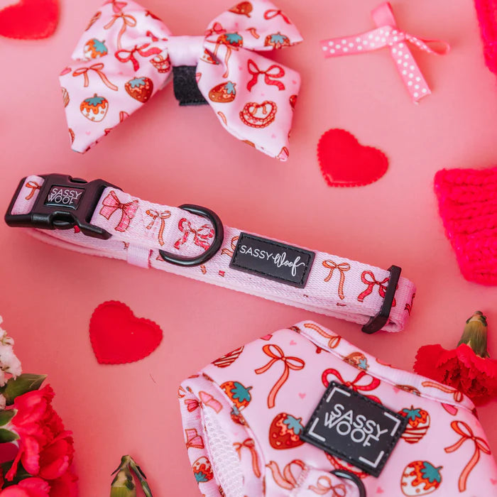 Sweet Treats - Modern Dog Collar