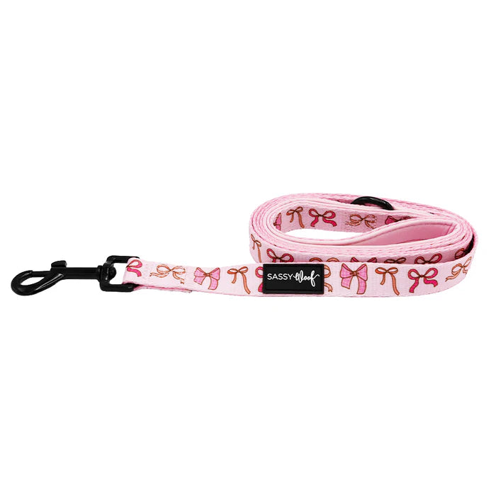 Sweet Treats - Modern Dog Leash
