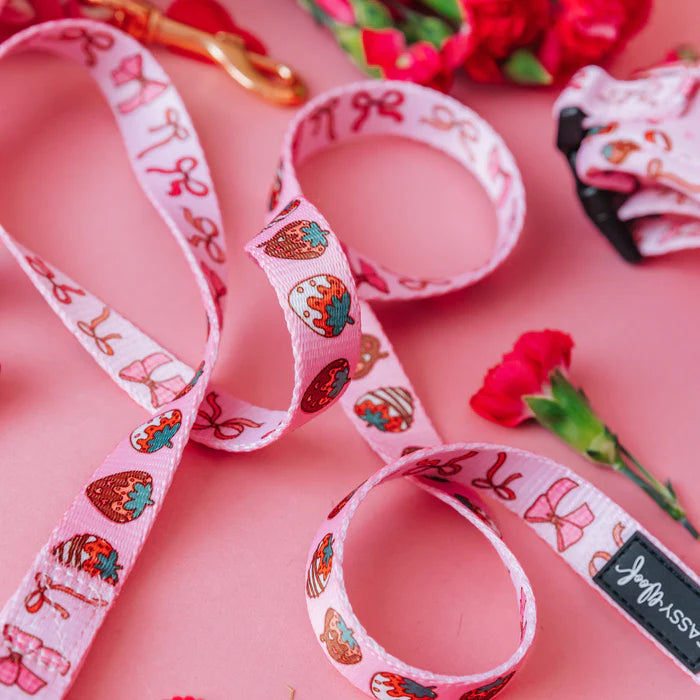 Sweet Treats - Modern Dog Leash