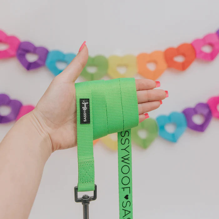 Neon Green - Modern Dog Leash