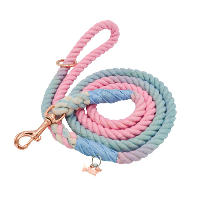 Romance - Modern Dog Rope Leash