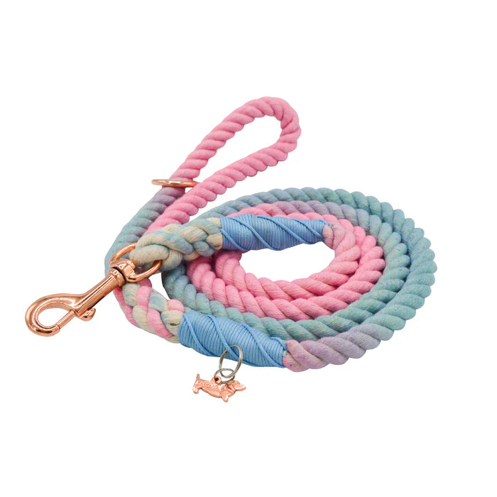 Romance - Modern Dog Rope Leash