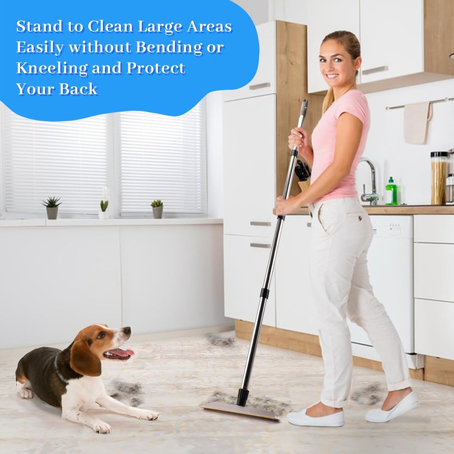 Pet Hair Remover Carpet Rake