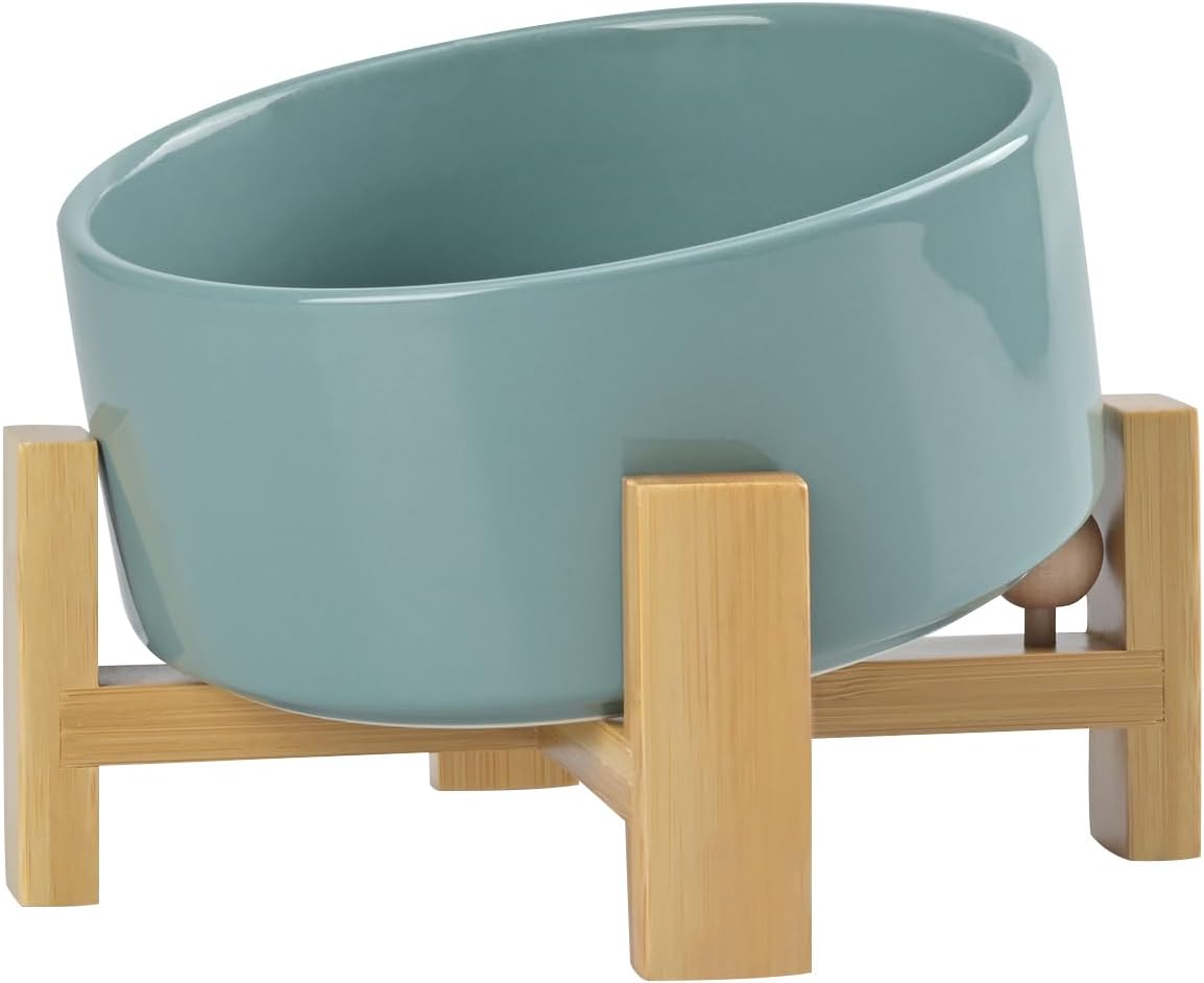 Modern Slanted Dog Bowls