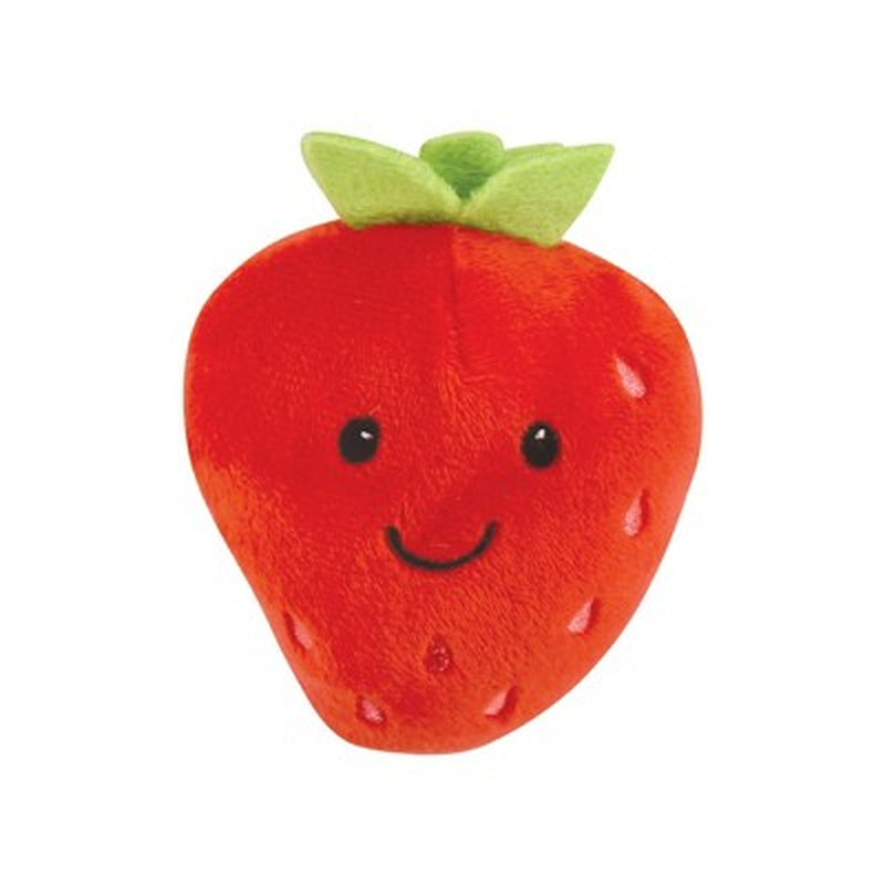 Fruity Squeaky Plush Mini Dog Toys