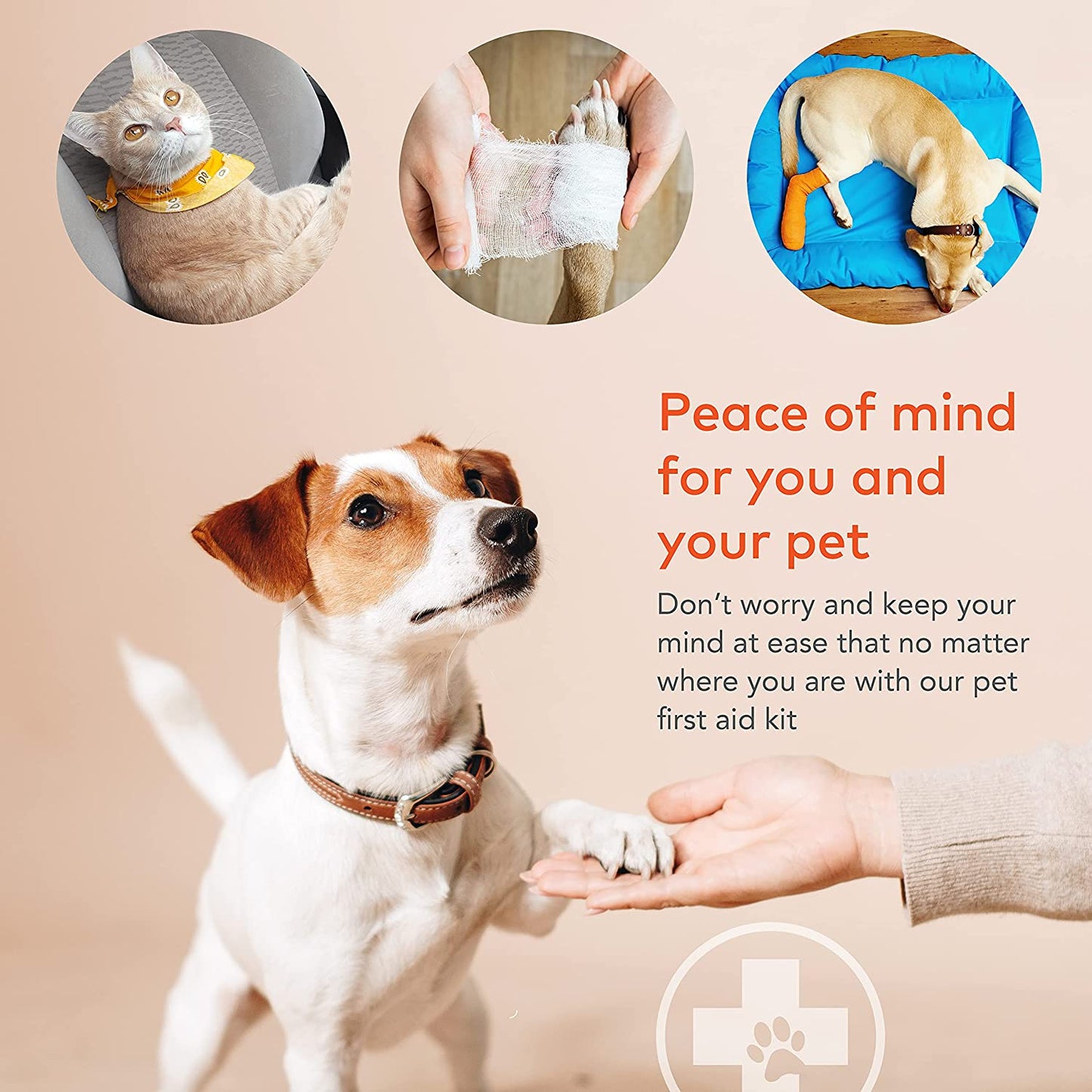 Dog First Aid Kit
