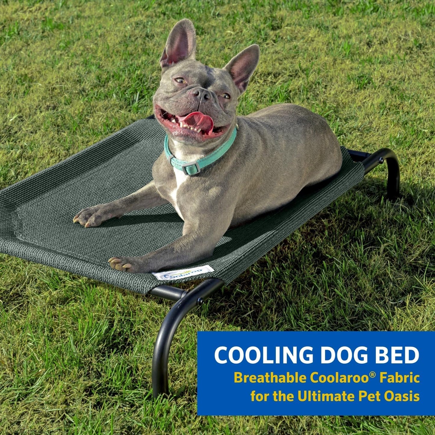 Elevated Cooling Dog Bed