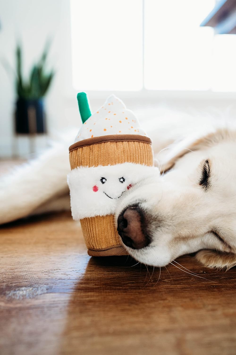 Pupuccino Plush Squeaky Dog Toy