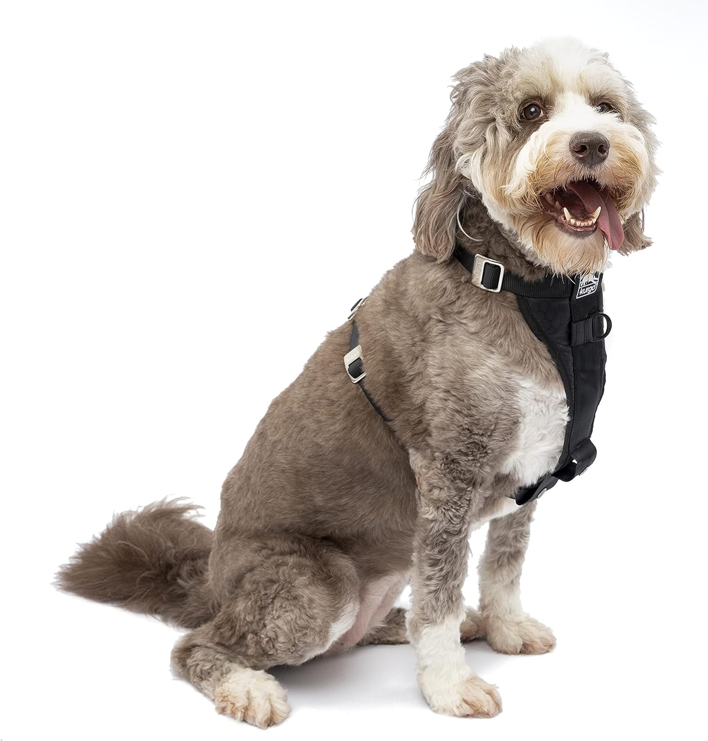 Dog Safety Seat Belt