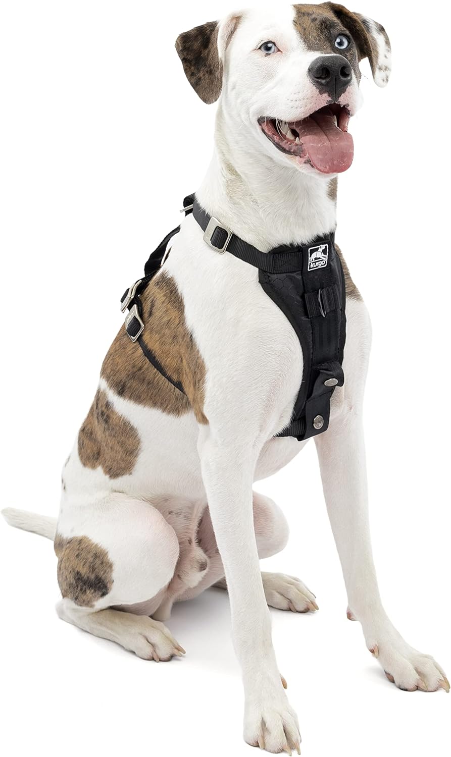 Dog Safety Seat Belt