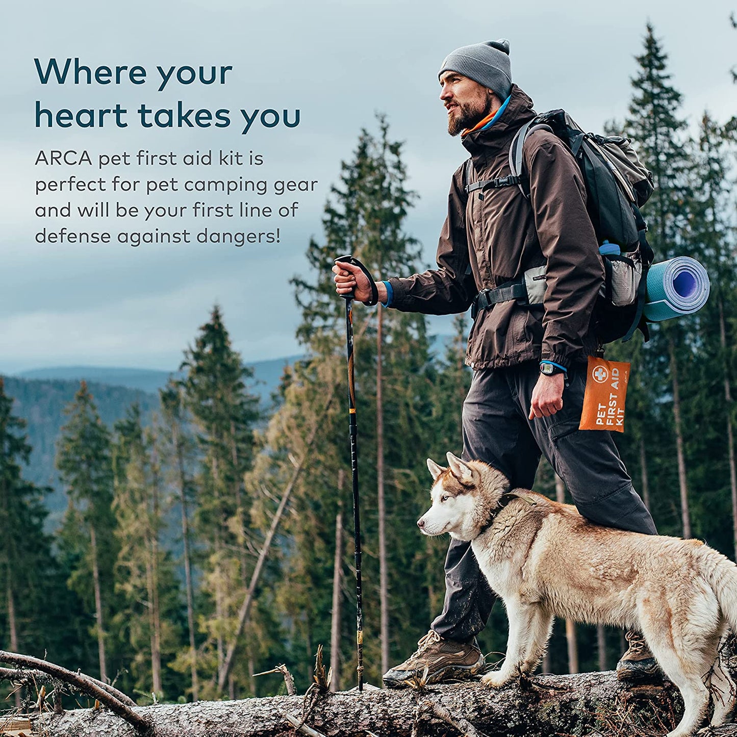 Dog First Aid Kit